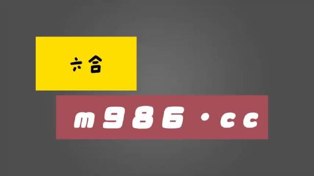 白小姐一肖一码准确一肖,可靠评估说明_op11.201