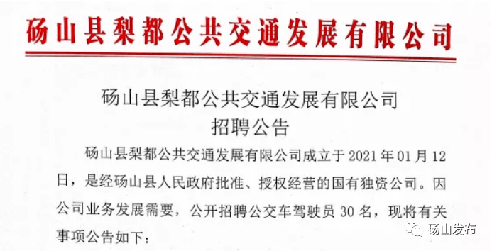 砀山县驾驶员招聘启事，诚邀驾驶人才加入k8凯发官网入口的团队